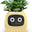 Plantagotchi