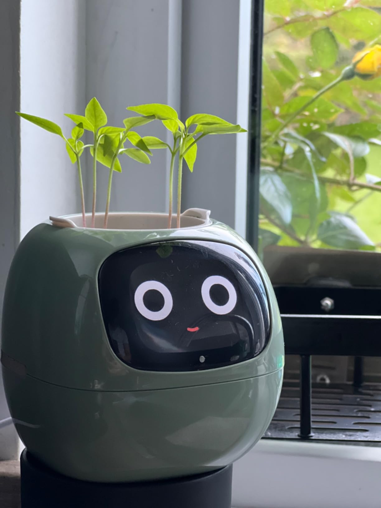 Plantagotchi