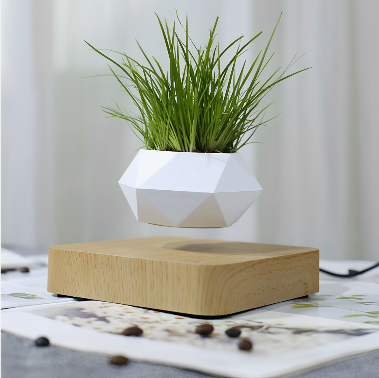 magnetic levitation potted plant Levitating Magnetic Planter – Plantagotchi