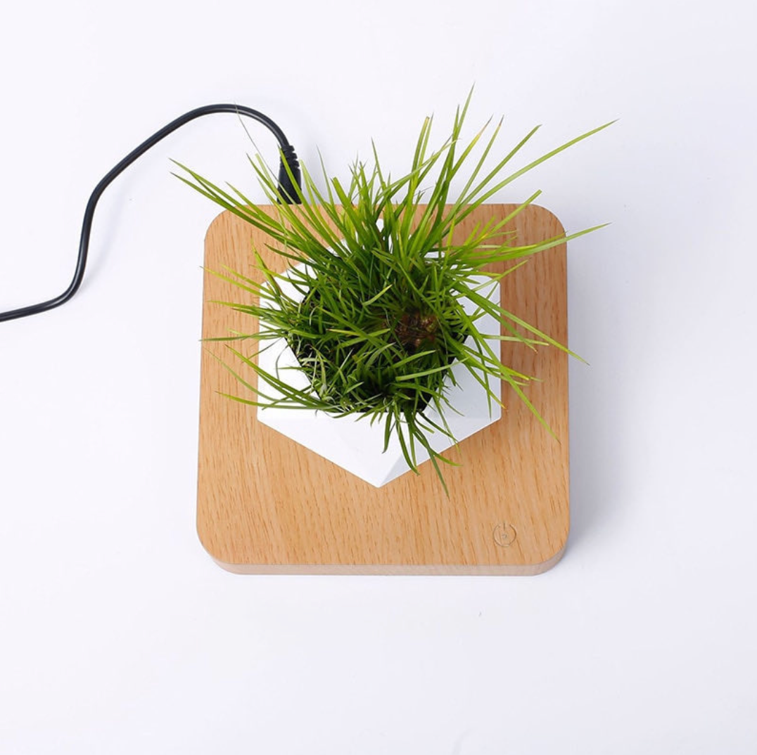 floating magnetic bonsai tree Floating Plant Pot