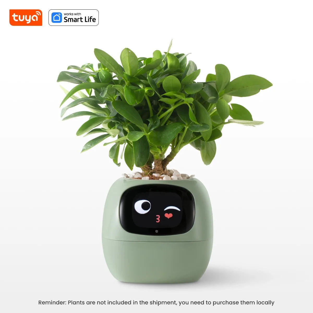lua smart plant pot amazon Plantagotchi